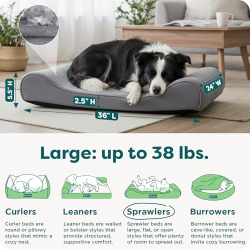Orthopedic Dog Bed for Large Dogs (Large / Gray)