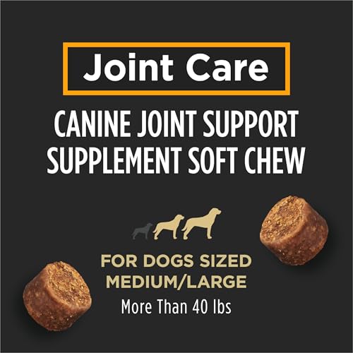 Purina Pro Plan Supplements Joint Care Large Breed Dog Supplement (Large Breed / 30 Chews (1 Pack))