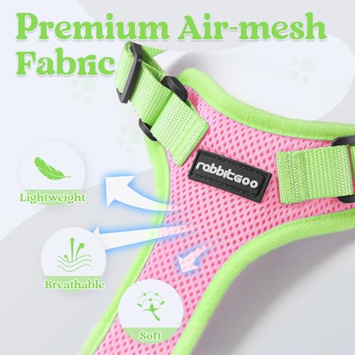 Cat Harness and Leash Set (Pink & Light Green / Xxs)