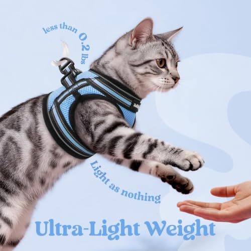 Cat Harness and Leash Set (XL / Light Blue)