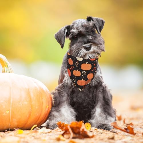 Black Fall Dog Bandana (Small / Fall)