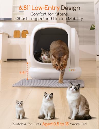 Self Cleaning Cat Litter Box