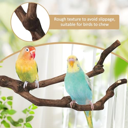 3 Sizes Natural Parrot Perch Grape Wood Bird Stand Pole Parakeet Paw Grinding Fork Chewable Climbing Branches Toy Bird Cage Accessories for Budgies Conures Cockatiels Lovebirds (5.9+7.9+9.8in)