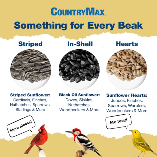 Backyard Sunflower Seed Blend 20 lb (Sunflower MIx / 20 Pound (Pack of 1))