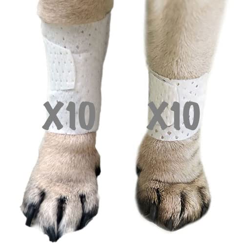 Basic Leg Bandages for Dogs (LG/XL 20-Pack)