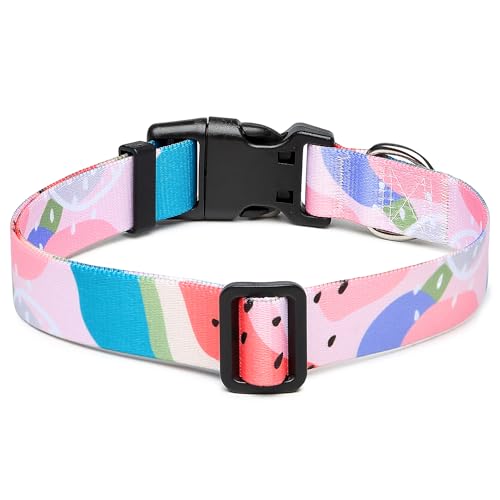 Adjustable Dog Collar (Extra Small / Watermelon)