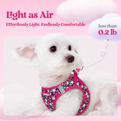 Dog Harness Small Sized and Leash Set (Pink Berry / Xs (chest: 13.3 - 15.5"))