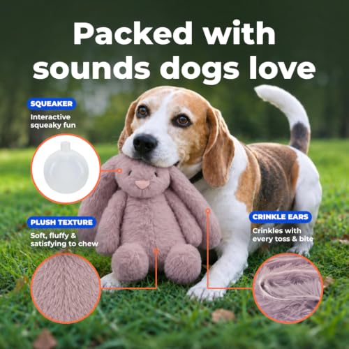 Bunny Buddy Squeaky Plush Dog Toy (Bunny (Mauve) / Small)