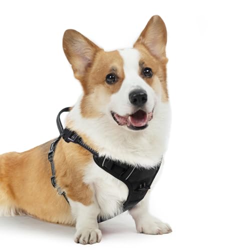 No Pull Dog Harness Medium Sized (Black / Medium)