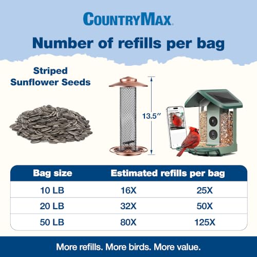 10LB Striped Sunflower Seeds for Birds (Striped Sunflower / 10 Pound (Pack of 1))