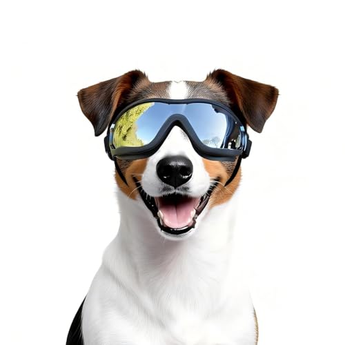 Dog Goggles Medium Breed with UV Protection Windproof Anti (Medium / Black)
