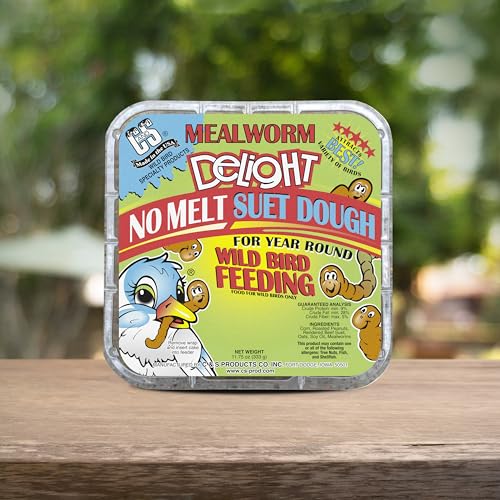 Mealworm Delight No Melt Suet Dough (1.47 Ounce (Pack of 8) / Mealworm, 8 Pack)