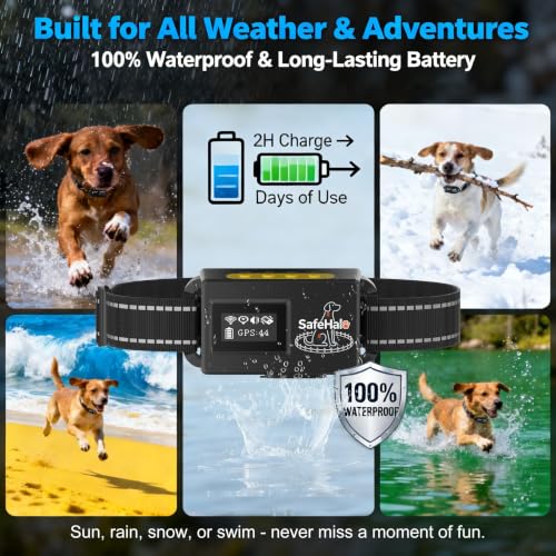 GPS Dog Collars for 2 Dogs