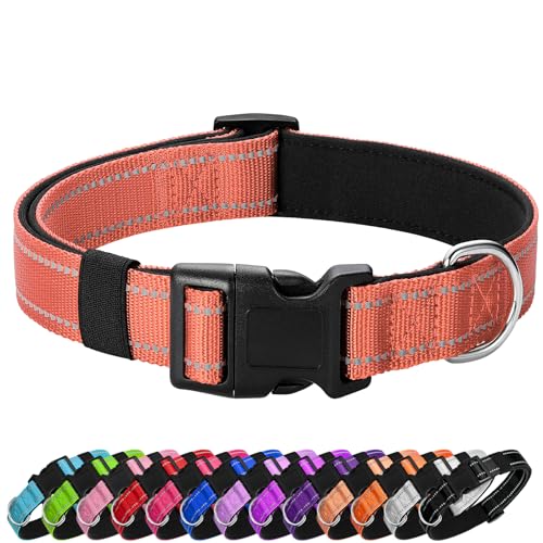 Reflective Dog Collar (Coral / S:width 5/8"neck 10.5-16")