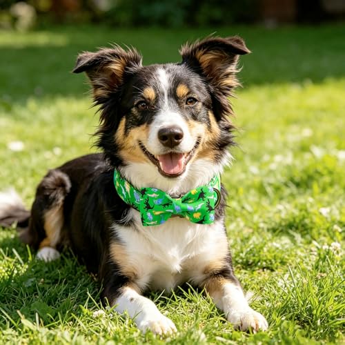 Boy Dog Collar (Green Dinosaur / Large (Pack of 1))