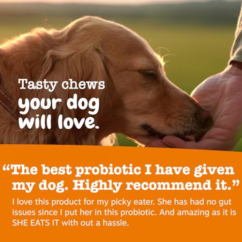 Senior Probiotics for Dogs (90 Count)