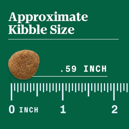 Limited Ingredient Diet Large Breed Dry Dog Food (22 Pound (Pack of 1))