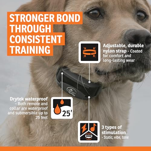 FieldTrainer 425X Remote Trainer (Gun Metal Grey / 1 Dog)