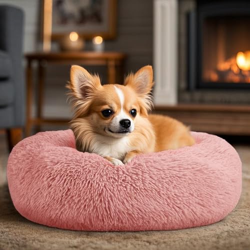 Dogs Bed for Small Dogs (Pink / 24.0"L x 24.0"W x 8.0"Th)