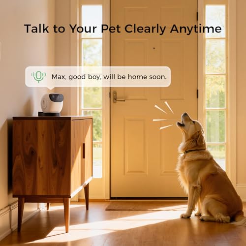 2026 3K Pet Camera Treat Dispenser (White)