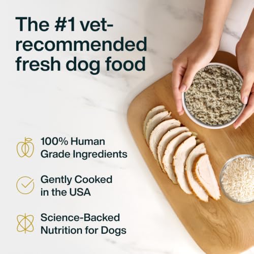 Pantry Fresh Wet Dog Food (12.5 Ounce (Pack of 12))
