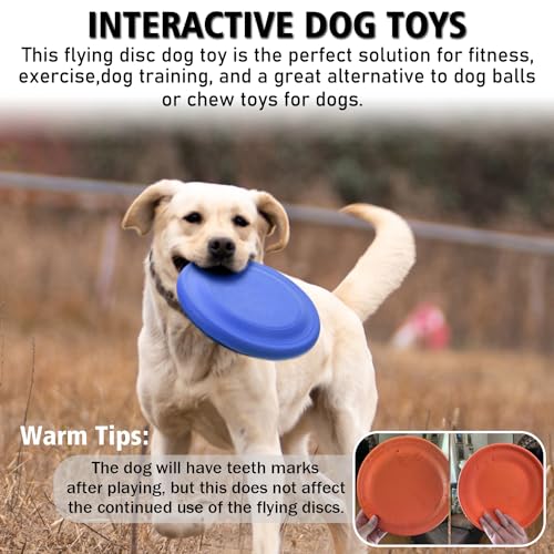 Dog Flying Disc (Blue)