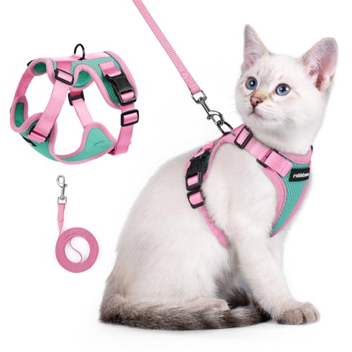 Cat Harness and Leash Set (Green & Pink / Xxs)