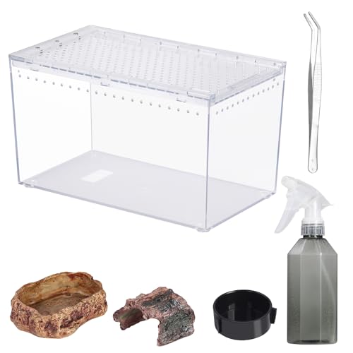 Tarantula Enclosure Spider Terrarium Hermit Crab Tank Starter Kit (M-Starter Kit)