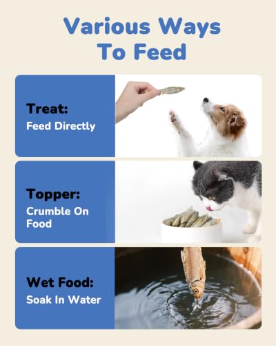 Freeze Dried Minnows Dog Treats