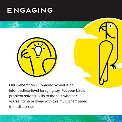 Creative Foraging Systems Foraging Wheel (Giant)