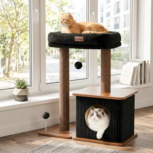 Small Cat Tree for Indoor Kittens (Walnut Finish / Medium)