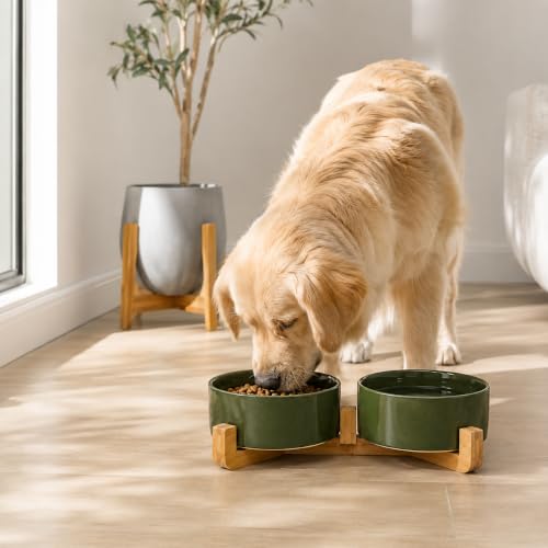 Ceramic Dog Cat Bowl Set with Stand (Rust Green / 850ML*2)