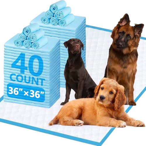 XXXL Puppy Pee Pads for Dogs 36"x36" 40 Count