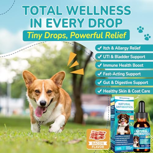 Antibiotics for Dogs (1 Pack)