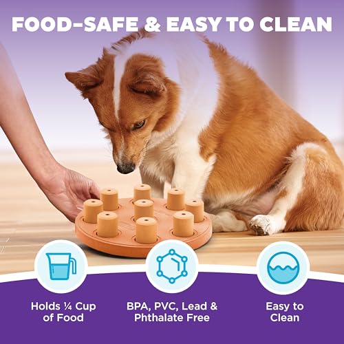 by Nina Ottosson Dog Smart Treat Puzzle Enrichment Toy (Dog Smart Composite (Orange) / 1 Count (Pack of 1))