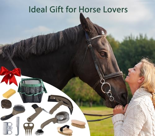 Horse Grooming Kit 13 Piece (Brown Green)
