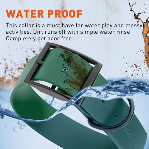 Biothane Waterproof Dog Collar Strong Coated Nylon Webbing with Black Hardware Odor (W1.5" x L24"-28" / Hunter Green)