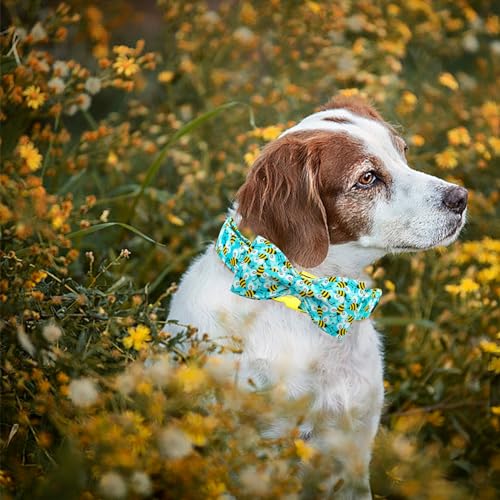 Blue Bees Print Dog Collar with Bow Tie for Small to Large Dogs (Bees / X-Small (Pack of 1))
