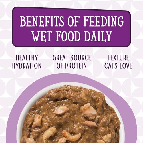 Cats in the Kitchen (3.2 Ounce (Pack of 24))