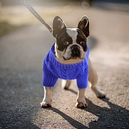 Small Dog Sweater for Small Dogs Boy (Small / Royal Blue)