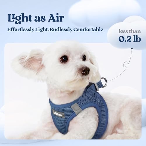 Dog Harness Small Sized and Leash Set (Navy Blue / Xxxs (chest: 10.8 - 11.8"))