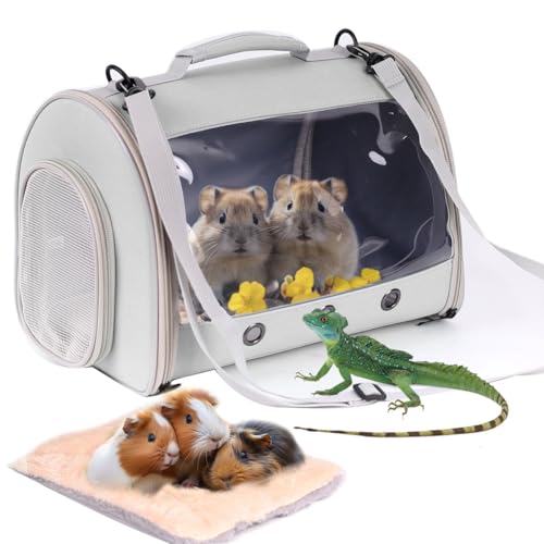 Bearded Dragon Travel Carrier Backpack (Grey)