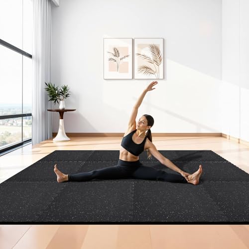 0.79Inch 48sq.ft 12 Tiles Gym Flooring for Home Gym (Black & Grey / 24"L x 24"W x 0.8"Th)