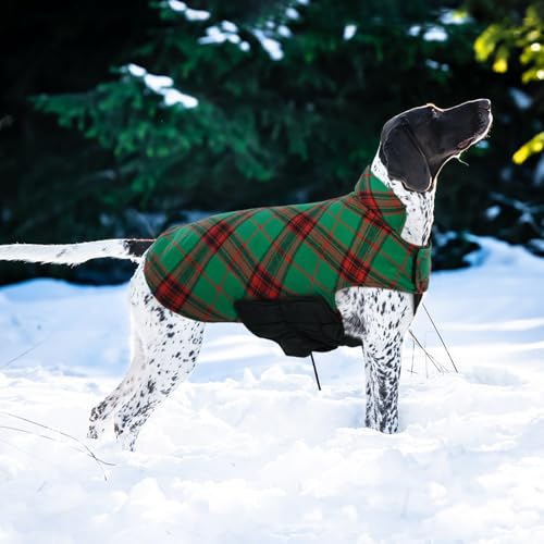 Waterproof Dog Coat (Christmas Green / 2X-Large (Pack of 1))