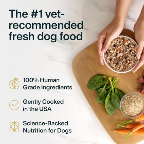 Pantry Fresh Wet Dog Food (12.5 Ounce (Pack of 12))