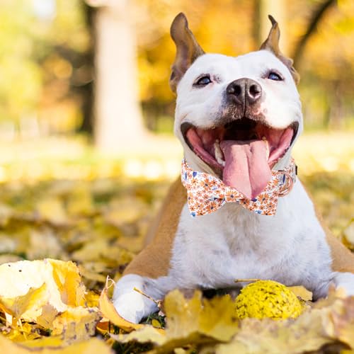 Autumn Leaf Collar with Bow Blue Leaf Flower Cotton Dog Collars for Small Medium Large Dogs (Medium / Leaf flower)