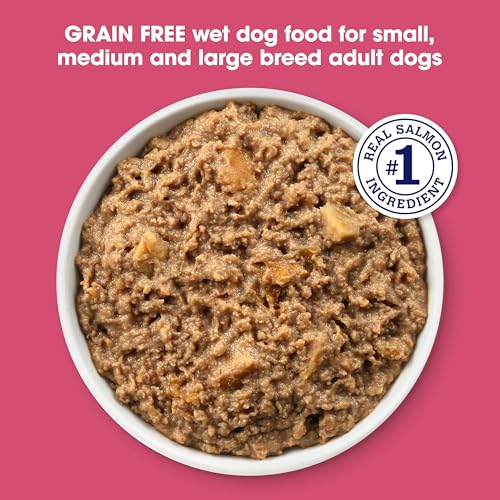 Grain Free Salmon Wet Dog Food