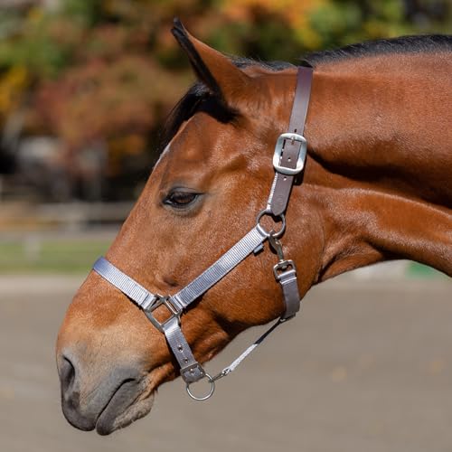 Loki Adjustable Breakaway Horse Halter (Silver Sconce Gray / Cob)
