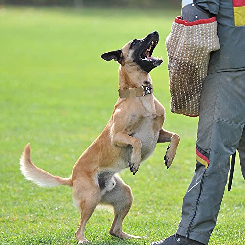 Heavy Duty Thick Dog Collar with Metal Buckle for Medium Dogs (M – Fits Neck 15.8"-18.9" / Basic Khaki)