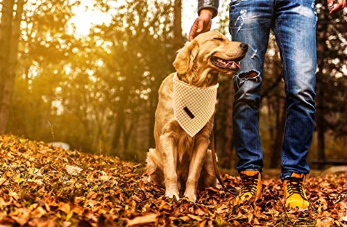 Dog Bandana for Small Medium Large Dogs (Yellow&White Grid / Small (Pack of 1))